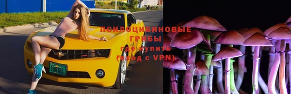 гидра Алексин