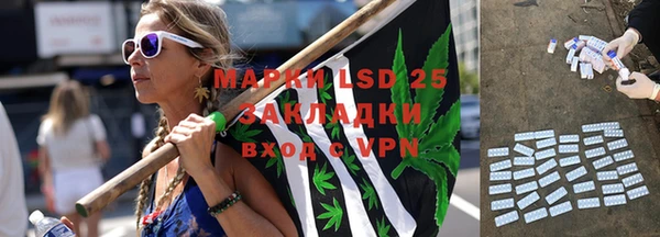 гидра Алексин