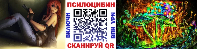 как найти закладки  Кириши  Галлюциногенные грибы Cubensis 